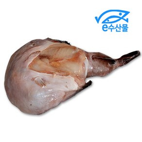 마산어시장 e수산물 냉동아귀 1kg이상 큰아구 아귀 아구찜 통한마리, 1개