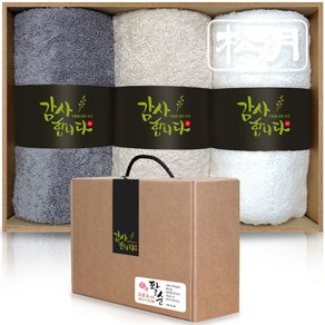 송월타올 40수 코마사 160g x 3p 수건선물세트 돌 환갑 칠순 팔순 구순 회사 교회 학교 기업 행사 조문 개업 결혼 호텔답례품, B (그레이+베이지+아이보리), 1세트