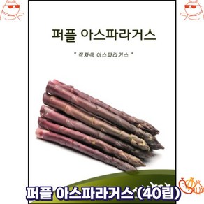 퍼플 아스파라거스 (40립), 1개