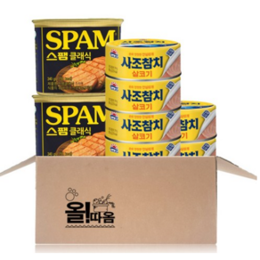 올따옴햄참치기획 스팸클래식340g 2+사조살코기참치100g 6, 100g, 1세트