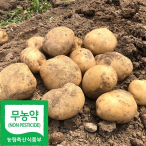 국내산 무농약 햇 수미 감자, 특, 1박스, 2kg(특)