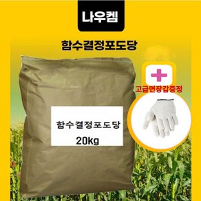 나우 함수결정포도당 포도당 20kg 대용량 각