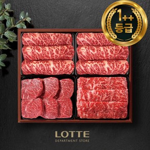 [롯데백화점] 1++ 투쁠 한우선물세트 구이용 등심 안심 채끝 부채살 양지, VIP 1호 2.0kg (등심/등심/안심/채끝), 1세트