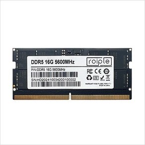 [Roiple] DDR5 램메모리 RAM 5600MHz CL46 16GB 노트북용, 1개