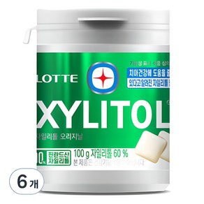 롯데자일리톨 껌 오리지날 용기, 100g, 6개