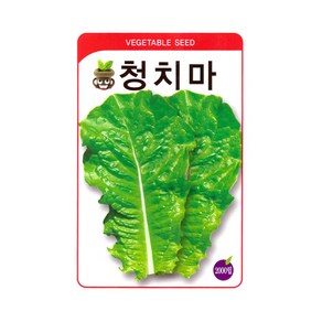 청치마 상추 씨앗 2000립 쌈채소 상추씨 종자 키우기, 1개