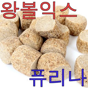 퓨리나 익스 3kg 쥐 다람쥐 햄스터 이갈이사료 밥, 1개