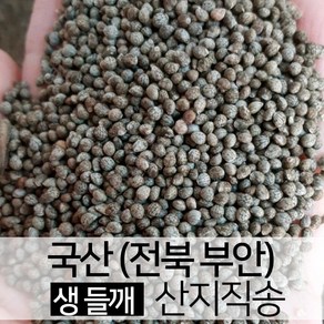 국산 생들깨 통들깨 500g 부안 산지직송 [진도장모와 서울큰사위], 1개