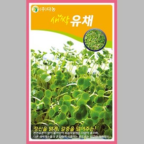 새싹 유채씨앗 12g 유채씨 새싹채소, 1개