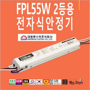 형광등 전자식 안정기 교체 FPL55W 2등용 대원루스터 DU-55D22L, 1개