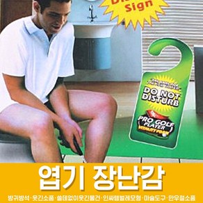 스투피드 만우절 장난감 모음, 71_화장실 골프 세트