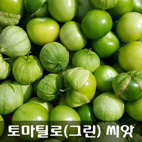 [해피플라워] 멕시칸 요리 재료 토마틸로 그린(Green) 씨앗 300립 / 봄 여름 파종 웰빙푸드 종자