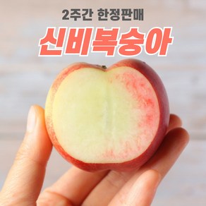 산지직송 여름 프리미엄 과일 고당도 천도 백도 신비복숭아, 1개, 로얄과 1kg