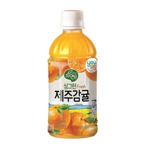 싱그런 제주감귤, 340ml, 6개