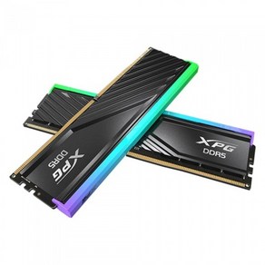 [공식수입사] ADATA XPG DDR5-6000 CL30 LANCER BLADE RGB 블랙 패키지 (32GB(16Gx2)), AX5U6000C3016G-DTLABRBK, 2개