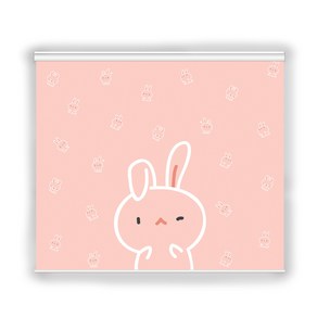 [아르테홈] 예쁜 실사 암막롤스크린(캐릭터1)