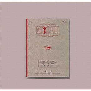 [Stay kids] 스트레이키즈 미니 앨범 맥시던트 케이스 mini album maxident case ve. [I.N]