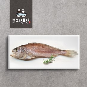 반건조 침조기 소 중 대 특대 (망미중앙시장 부자생선), 침조기41cm1마리, 1개