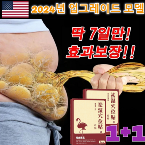 1+1[빠른 배송] 한방 건강 치습 혈자리 패치 미국 기술 패치 뜸쑥 패치 붙이는 다이어트 패치 /혈액순환/비만관리/신체 제습