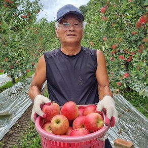 경북 고당도 선물용 사과 부사, 1박스, 가정용 부사 2kg(소과/11~13과)