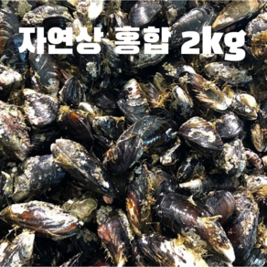 국내산 자연산 섭 홍합 대담치 2kg