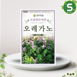 솔림텃밭몰 오레가노씨앗 3000립 오레가노 꽃박하 허브씨앗, 1개