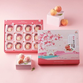 원주 복숭아빵 [12개입] (개별포장) 디저트 선물세트 간식 답례품, 360g, 1세트