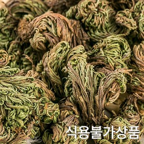 국산 자연산 부처손 권백 600g 말린 건조 건 국내산, 16GI_국산 부처손(권백) 600g, 1개