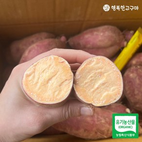 [생산자 직배송] 2024년 수확 유기농 햇고구마 호풍미(호박고구마) 특상, 1박스, 3kg