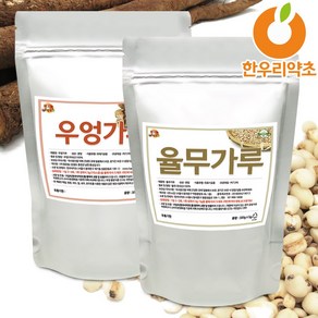 우엉율무 스무디 우엉가루 300g 율무가루 300g 세트 국내산, 우엉분말300g+율무(생)분말300g