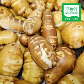 [산지직송] 해남 무농약 친환경 세척 손질 인디언감자, 1개, 1kg (소)