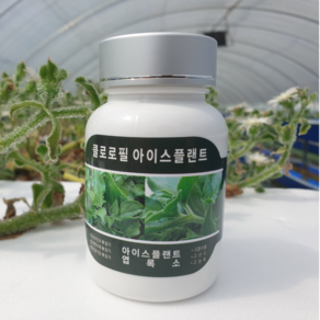 클로로필 아이스플랜트 600정, 50g, 1개