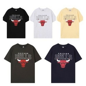 [NBA]NC청주느바 남녀공용 CHI팀로고 빅아트웍 반팔티셔츠 N242TS911P
