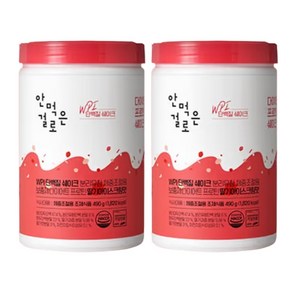 안먹은걸로 WPI 단백질쉐이크 490g x 2통 (딸기아이스크림맛), 2개