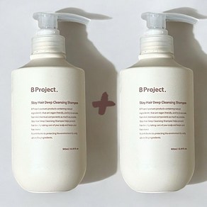 [본사정품] 1+1 비프로젝트 스테이 헤어 딥 클렌징 샴푸 두피 케어 B Poject Stay Hai Deep Cleansing Shampoo, 2개, 1L