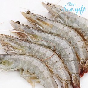 [씨기프트]흰다리새우 500g 새우장 새우튀김 마라새우 버터구이, 40미