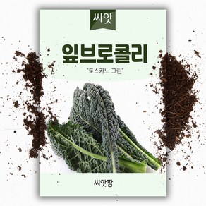 잎 브로콜리씨앗 (1000립), 1개