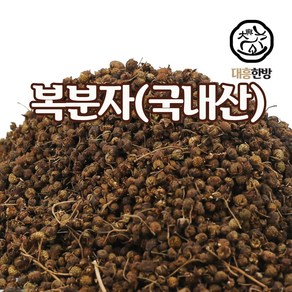 대흥한방 복분자 300g 국내산, 1개