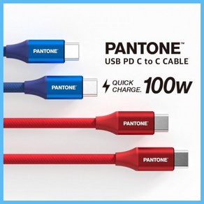 팬톤 C to C 고속충전케이블 100W, 레드, 1개