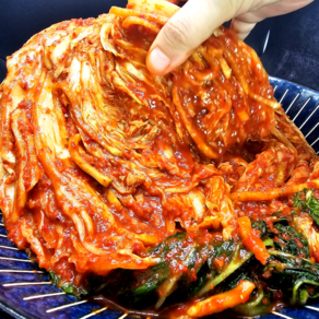 신나푸드 국산 맛있는 전라도 배추김치, 3kg, 1개