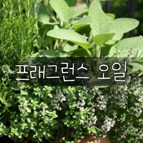 엔피솝 허브그린 프래그런스오일 500ml /인공향 캔들 디퓨저 방향제, 1개