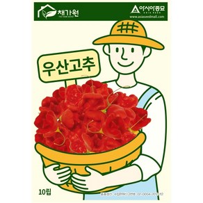 아시아종묘 씨앗 고추 우산고추 10립