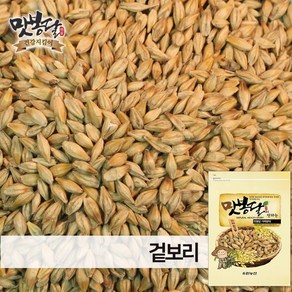 맛봉달 24년 겉보리 통보리 국내산 2kg 1개, 10kg 마대포장