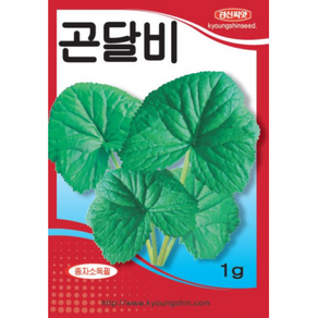 경신종묘 곤달비씨앗 곤달비 1g, 1개