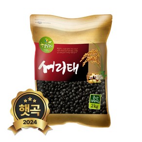 현대농산 국산 서리태 2kg 속청