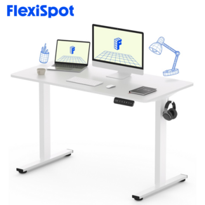 FlexiSpot 전동 낮은 높이 모션 데스크 A/S 5년 1200 높낮이조절 높이690~1100mm 초등학생 바른 자세 게이밍 사무실 책상 컴퓨터책상 EF1