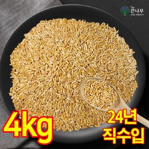 터키 호라산밀 수입사 직판 착한 탄수화물, 4kg, 1개