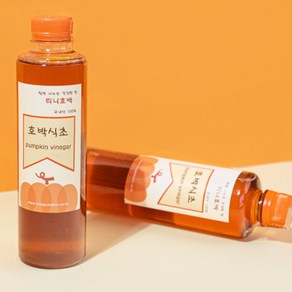 [티니호박] 자연발효 호박식초 300nl / 500ml, 1개, 300ml