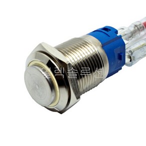 16파이 메탈 푸쉬 스위치 돌출형 화이트 LED 6V/12V/24V, 1개