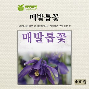 다농 매발톱꽃 씨앗 400립, 1개